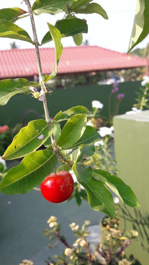 Heavenly Homestay Kochi Exteriér fotografie