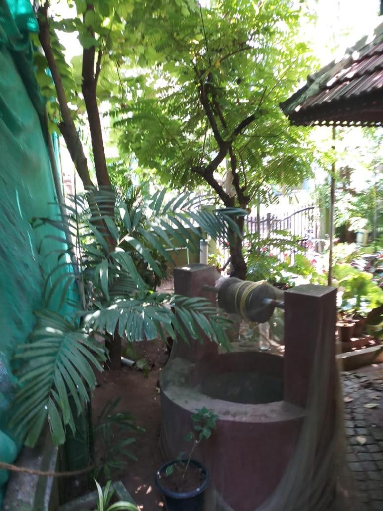 Heavenly Homestay Kochi Exteriér fotografie