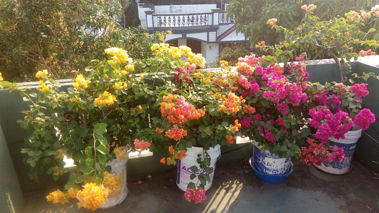 Heavenly Homestay Kochi Exteriér fotografie